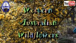 Wildflowers - R / S